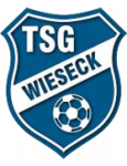 Wieseck U19